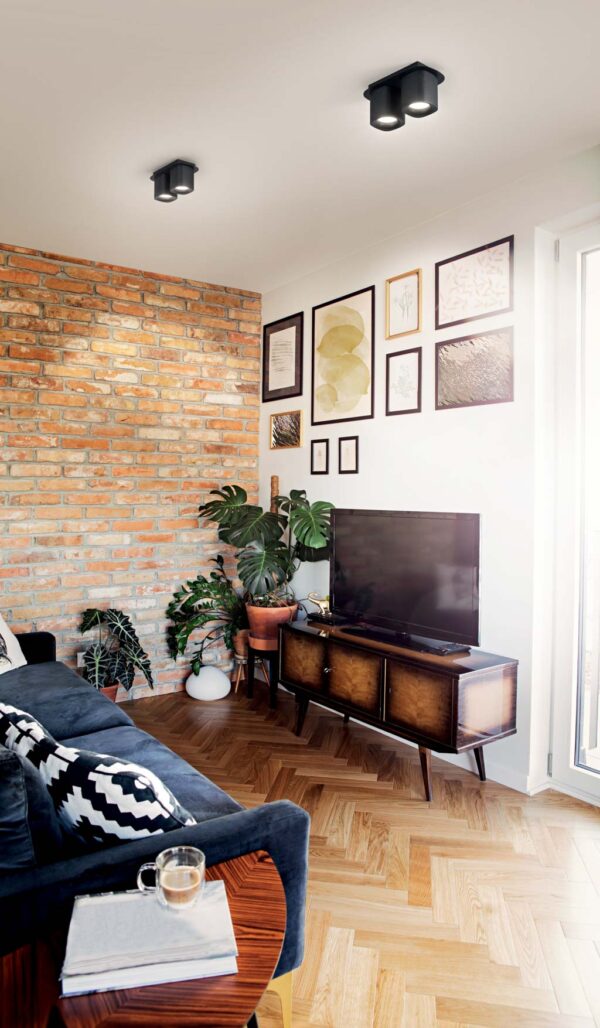 stylish-scandinavian-open-space-with-living-room-with-design-sofa-and-tv-table-bright-and-sunny-room-with-red-brick-wall-posters-composition-and-brown-wooden-parquet